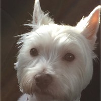 Profile Picture of Amanda Cadden (@amanda-cadden-2) on Quora