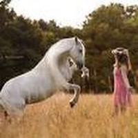 Profile Picture of Tyler Bertrand (@tyler-bertrand-3) on Quora