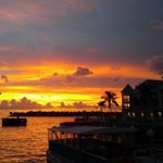 Profile Picture of Shaun Finn (@finn.shaun) on Instagram