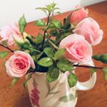 Profile Picture of Bernice Humphrey (@msbhumphrey) on Instagram