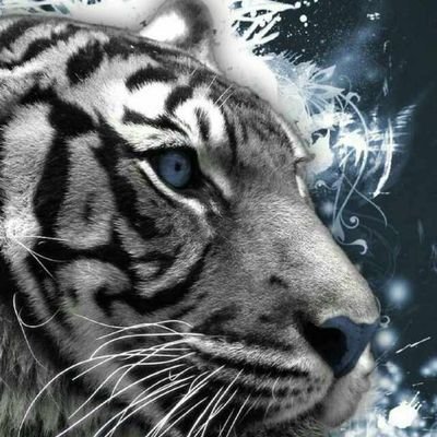 Profile Picture of Leonardo Torrez (@Leonard51190053) on Twitter