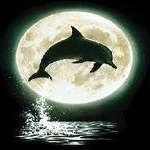 Profile Picture of Alexandre Gonçalves (@alexandregoncalves6977) on Instagram