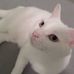 Profile Picture of Penny Roberts Drago (penny) (@penny.robertsdrago) on Facebook