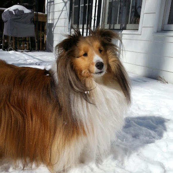 Profile Picture of Tess Pottmeyer (@pottmeyert) on Poshmark