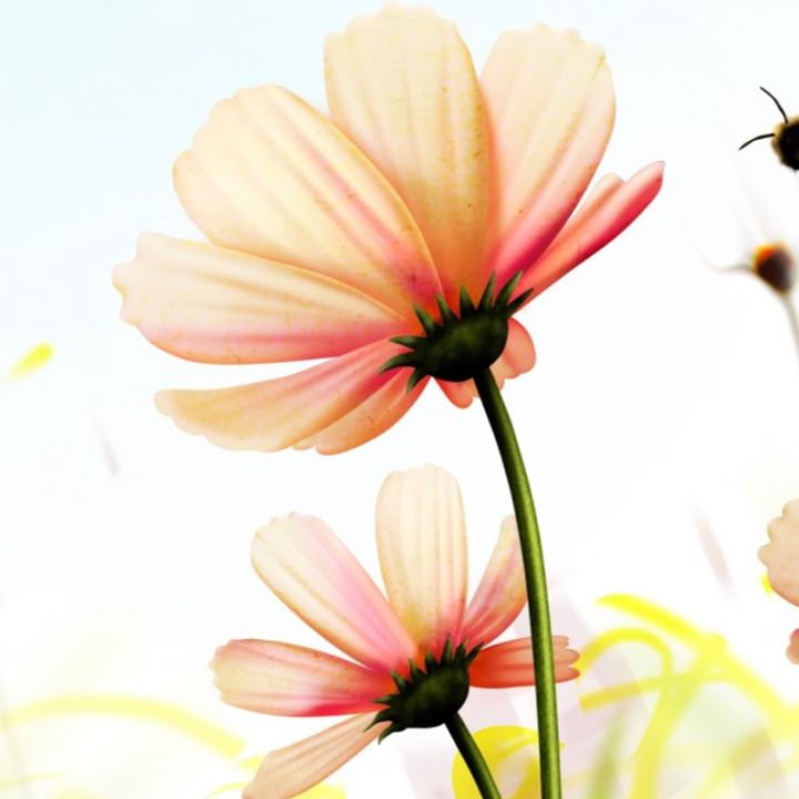 Profile Picture of laceylytle140 (@laceylytle140) on Tiktok