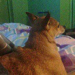 Profile Picture of Haley Elizabeth Earle (@haleyearle19) on Instagram