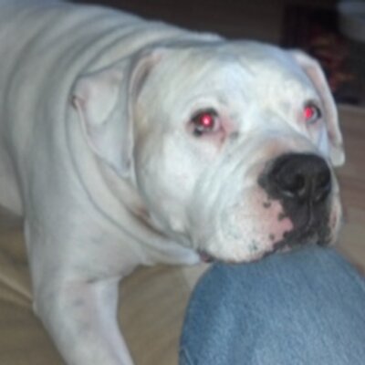 Profile Picture of Stephen Seneca (@ka53tet) on Twitter