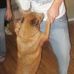 Profile Picture of Dixie DupreeDog (@dixie.dupreedog) on Facebook
