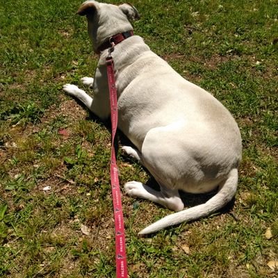 Profile Picture of Daniel Kusiak (@DanielKusiak3) on Twitter