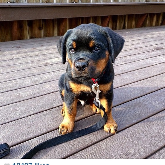 Profile Picture of Marrian Wallows (@fruitlover67g) on Poshmark