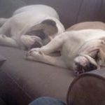 Profile Picture of Paul Spurlock (@pr_spur_2003) on Pinterest