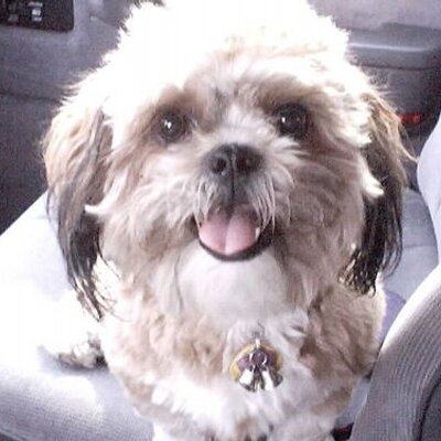 Profile Picture of Robert Ridenour (@ridenourr) on Twitter