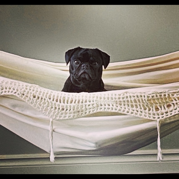 Profile Picture of Emily Nakata (@e_nakata) on Poshmark