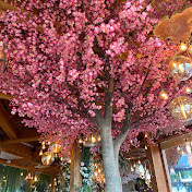 Profile Picture of Sky Johnson (@skyjohnson9757) on Youtube