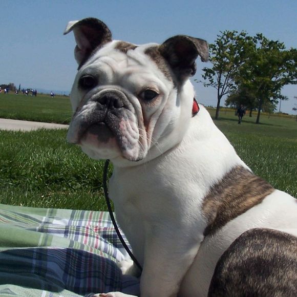 Profile Picture of Lucy Pires (@jlpires) on Poshmark