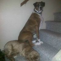 Profile Picture of Peter Broussard (@peter-broussard-3) on Quora