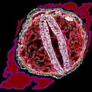 Profile Picture of Bradley Michaud (@dragoneyez77) on Myspace