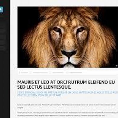 Profile Picture of Badar Bilal Mir (@MirLilly) on Twitter