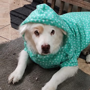 Jonathan Gama - Youtube Profile Picture of Jonathan Gama (@jonathangama7003) on Youtube