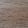 Profile Picture of Thomas Jahn (@thomasjahnesw) on Tiktok