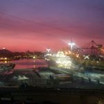 Luisa Santoro - Instagram Profile Picture of Luisa Santoro (@luisa.santoro.549) on Instagram