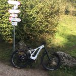 Profile Picture of Thomas Damiani (@damianithomas) on Instagram