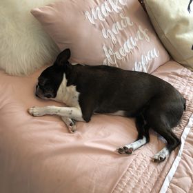 Profile Picture of Chloe Inman (@chlo30) on Pinterest