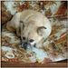 Profile Picture of Verna Tobias (@tobiasverna) on Pinterest