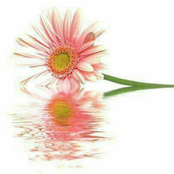 Profile Picture of Kim Mccloud (@kimbos197344) on Poshmark