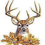 Profile Picture of Joe Tillman (@outdoorjoe75) on Twitter