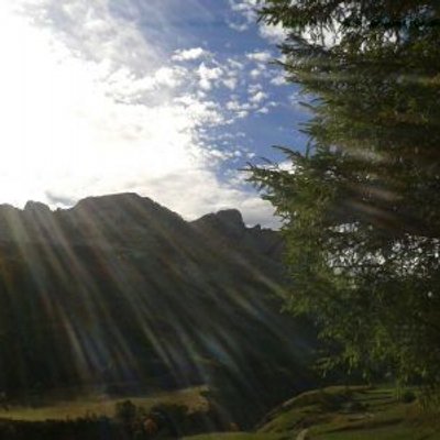 Profile Picture of Desiderio Rodriguez (@zilurnigo54) on Twitter