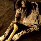 Profile Picture of Jennifer DSouza (@jenadsouza) on Instagram