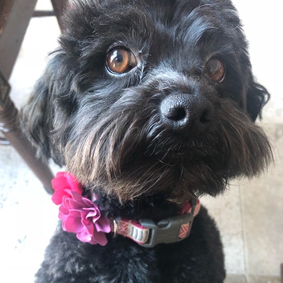 Taylor Colony - Poshmark Profile Picture of Taylor Colony (@cosmiccurio) on Poshmark