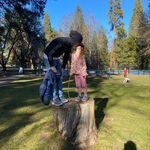 Profile Picture of Clint Rodreick (@wearetherodreicks) on Instagram