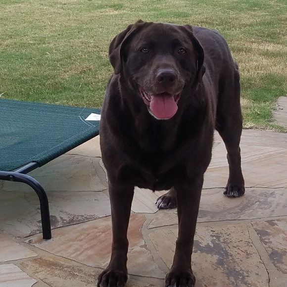 Sandy Jumper - Poshmark Profile Picture of Sandy Jumper (@sandyjumper) on Poshmark