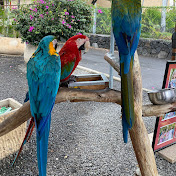 Profile Picture of Jorge Gonzalez (@jorgegonzalez4157) on Youtube