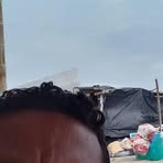 Profile Picture of Pablo Alcivar (@pablo.alcivar.40874) on Facebook