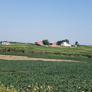 Profile Picture of Keith Prickett (@keith.prickett.31) on Facebook