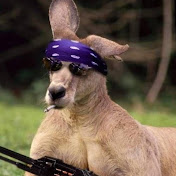 Beniamin Gajecki - Youtube Profile Picture of Beniamin Gajecki (@RangerPolishKangaroo) on Youtube