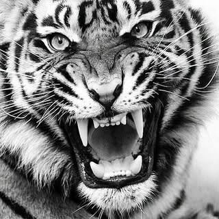 Profile Picture of dennis (@damon_dennis) on Instagram