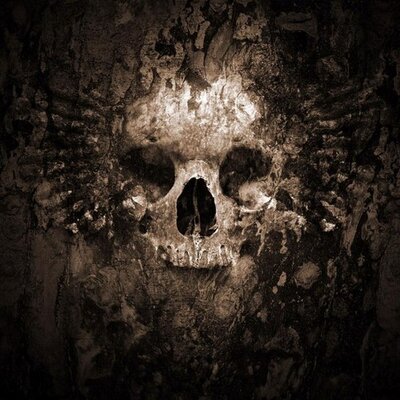 Profile Picture of Terence Calvin (@tbcalvin) on Twitter