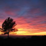 Profile Picture of Myra Border (@myra.boder) on Instagram