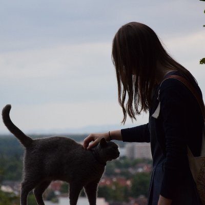 Profile Picture of Michelle Dudek (@schuereh) on Twitter