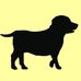Profile Picture of Lynn Scullion (Wagging Tales) (@lynn.scullion.37) on Facebook
