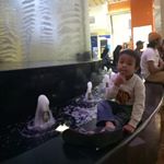 Profile Picture of verawati (@ianverabilal) on Instagram