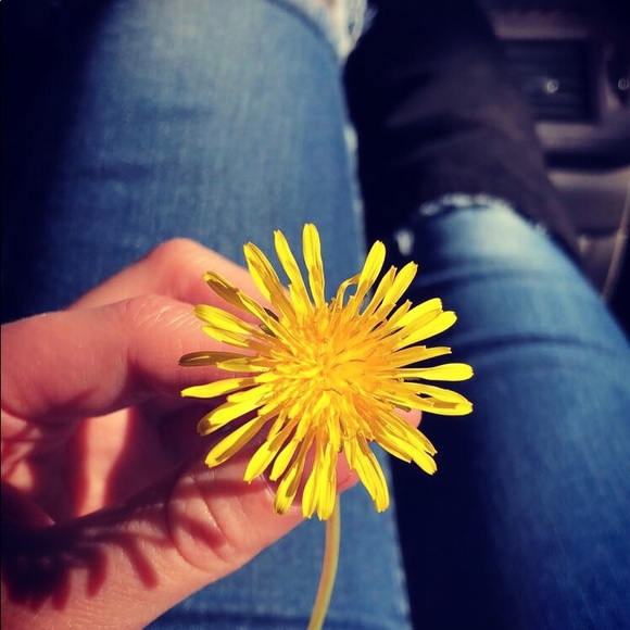 Profile Picture of Tiny Dancer (@poppyseed8818) on Poshmark