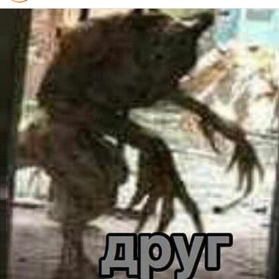 Profile Picture of Calvin Fu (@CalvinFu10) on Twitter