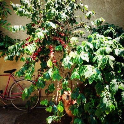 Profile Picture of J. Prada (@ParadaPainter) on Twitter