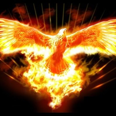 Profile Picture of Gabriel Yeung (@GabrielYeung2) on Twitter