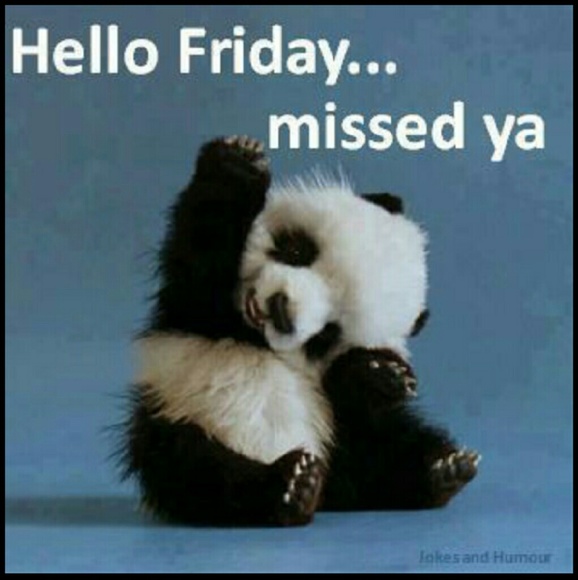 Profile Picture of Brandon Zhao (@brandonad8284) on Poshmark